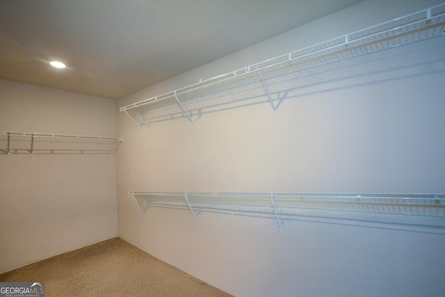 walk in closet featuring carpet floors