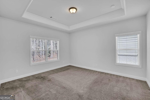 carpeted empty room with a wealth of natural light and a raised ceiling