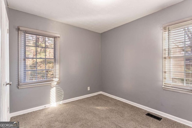 spare room with carpet and a wealth of natural light