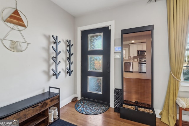 entrance foyer featuring a healthy amount of sunlight and wood-type flooring