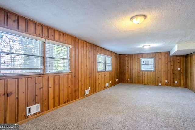 unfurnished room featuring plenty of natural light, a textured ceiling, and carpet flooring