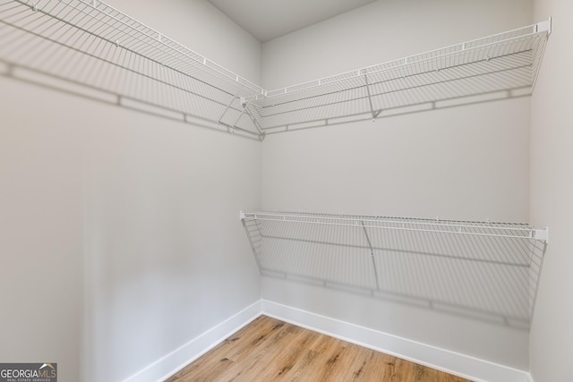 spacious closet with hardwood / wood-style flooring