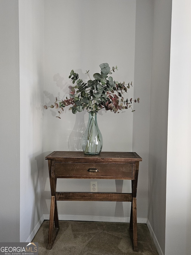 room details with carpet flooring and baseboards