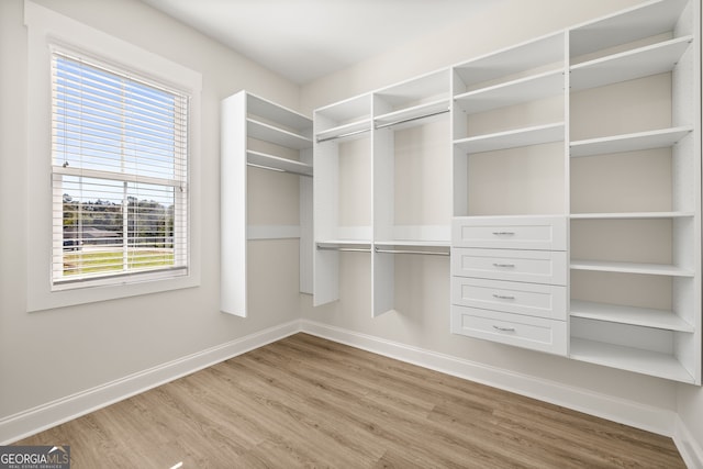 walk in closet featuring light hardwood / wood-style floors