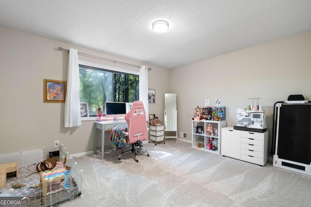 carpeted office space with a textured ceiling