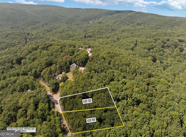 birds eye view of property featuring a mountain view