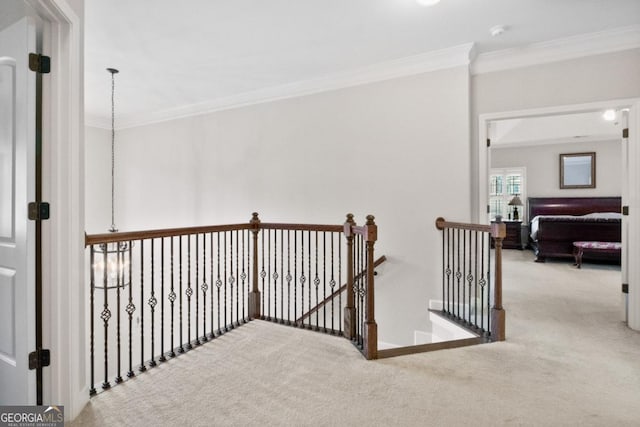 corridor featuring crown molding and light carpet