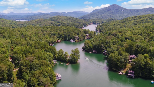 birds eye view of property with a water and mountain view