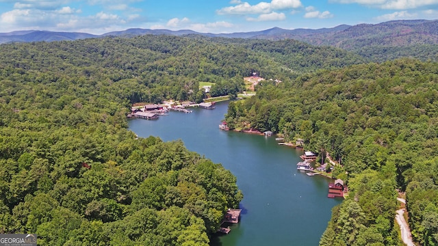 bird's eye view featuring a water and mountain view