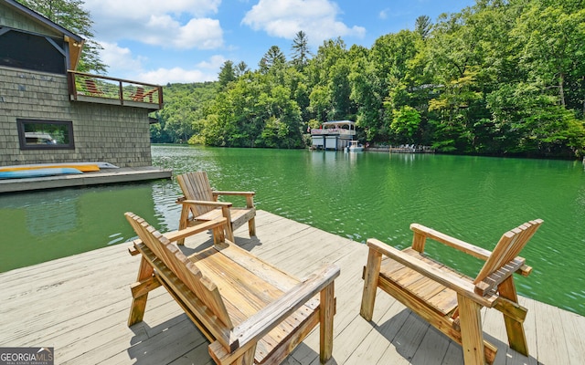 dock area with a water view