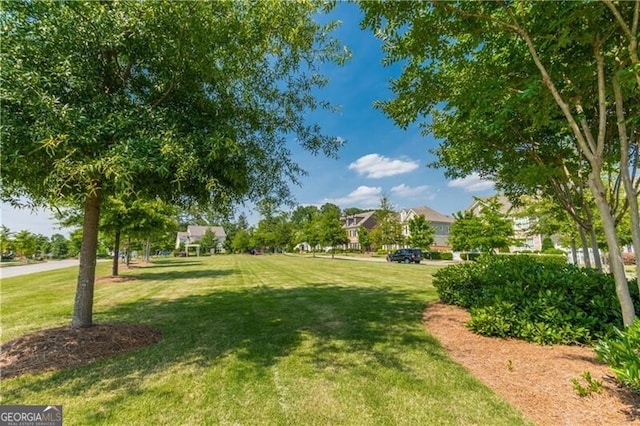 view of community with a lawn