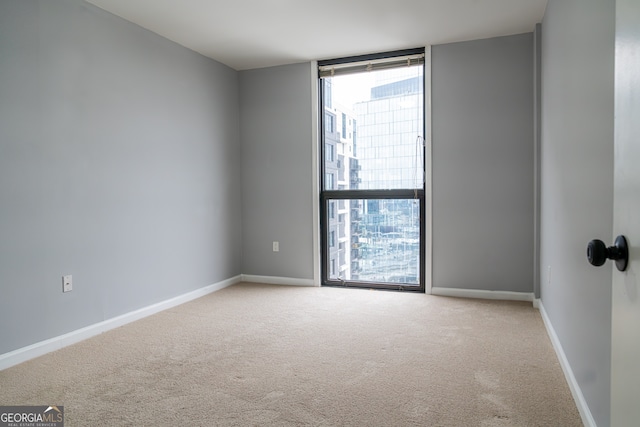 spare room with expansive windows and carpet