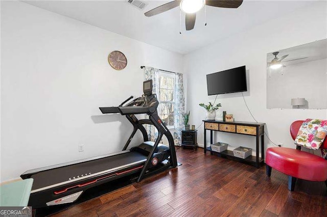 exercise room with ceiling fan and dark hardwood / wood-style flooring