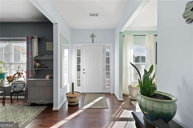 entrance foyer featuring dark hardwood / wood-style floors and a wealth of natural light