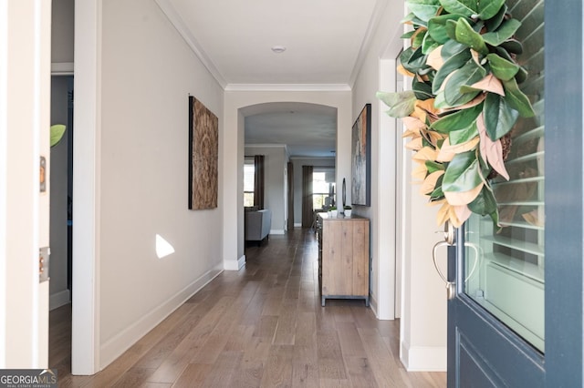 hallway with hardwood / wood-style flooring and crown molding