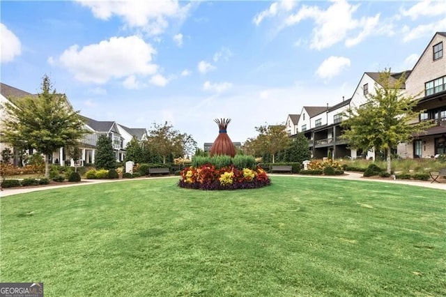 view of home's community with a yard