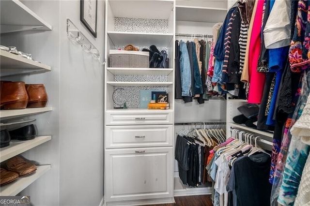 view of spacious closet