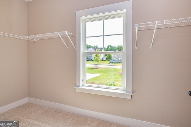 spacious closet with carpet