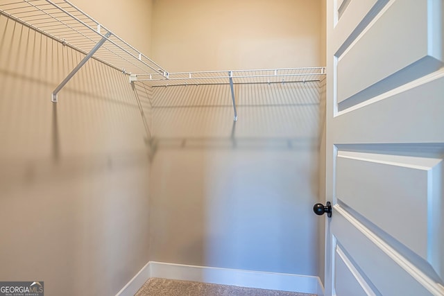 view of spacious closet