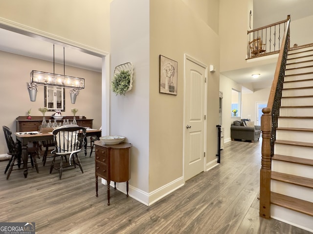 foyer entrance with a notable chandelier, dark hardwood / wood-style floors, and a high ceiling