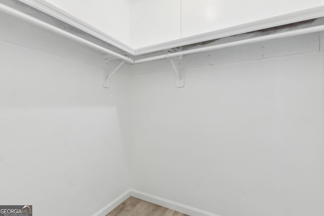 walk in closet with wood-type flooring