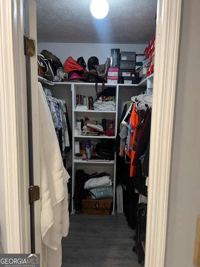 walk in closet featuring wood-type flooring