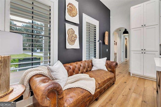 living room featuring light hardwood / wood-style flooring