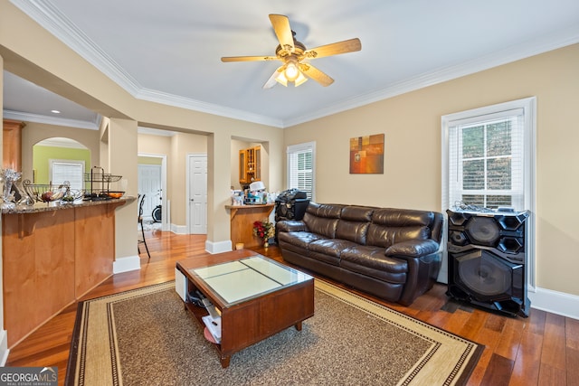 living room with ceiling fan, crown molding, a wealth of natural light, and dark wood-type flooring