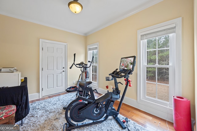 workout room with hardwood / wood-style floors and crown molding