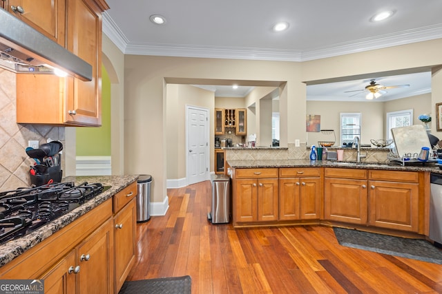 kitchen with hardwood / wood-style floors, sink, dark stone countertops, decorative backsplash, and crown molding