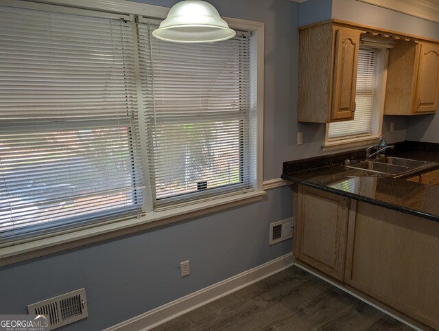 kitchen with a sink, baseboards, and dark wood-type flooring