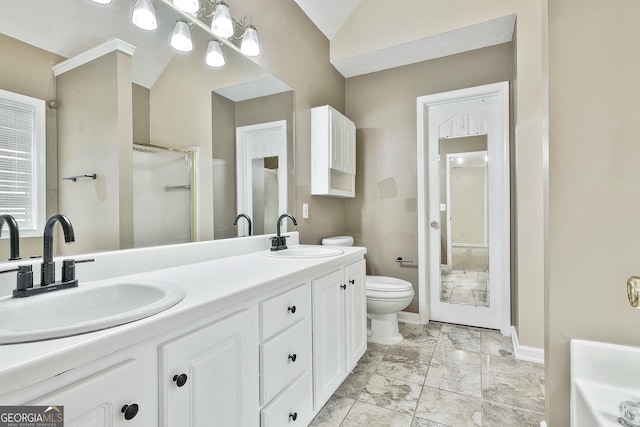 bathroom with vanity, an enclosed shower, and toilet