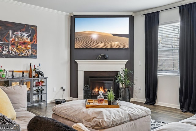 living room with a lit fireplace, ornamental molding, wood finished floors, and baseboards