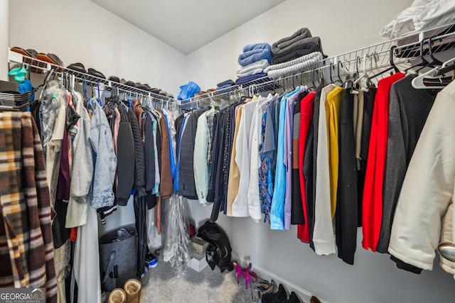 spacious closet with carpet