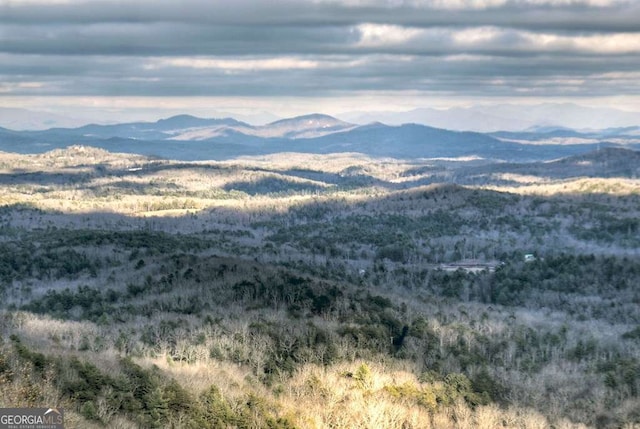 view of mountain feature