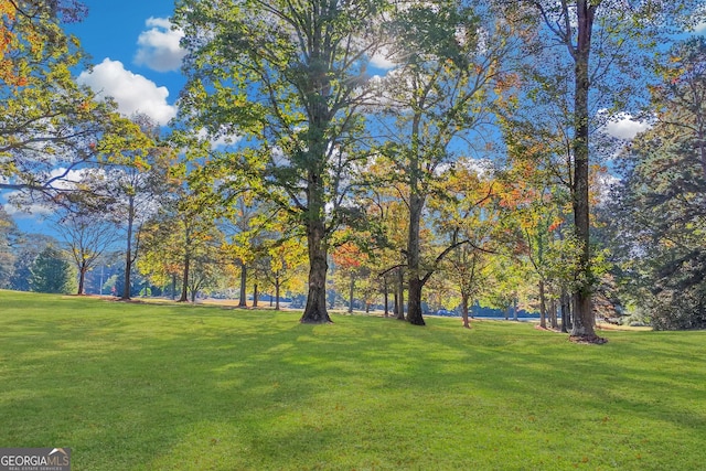 view of community featuring a lawn