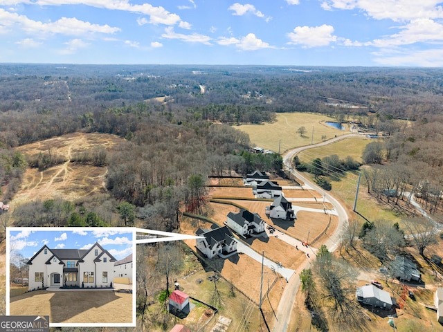 1041 Fleeman Rd, Hoschton, GA 30548 - aerial view of a forest