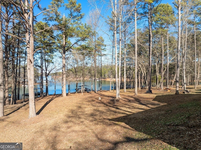 view of yard featuring a water view