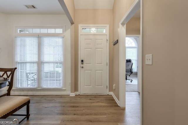 foyer featuring wood-type flooring and a wealth of natural light