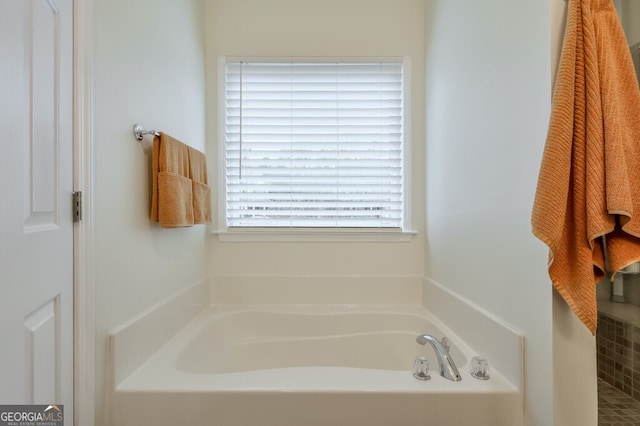 bathroom with a bathtub