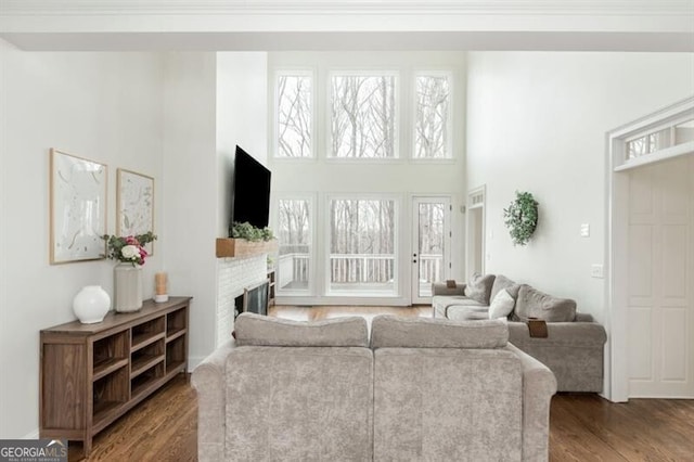 living room featuring dark wood-type flooring