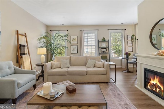 living room with dark hardwood / wood-style floors