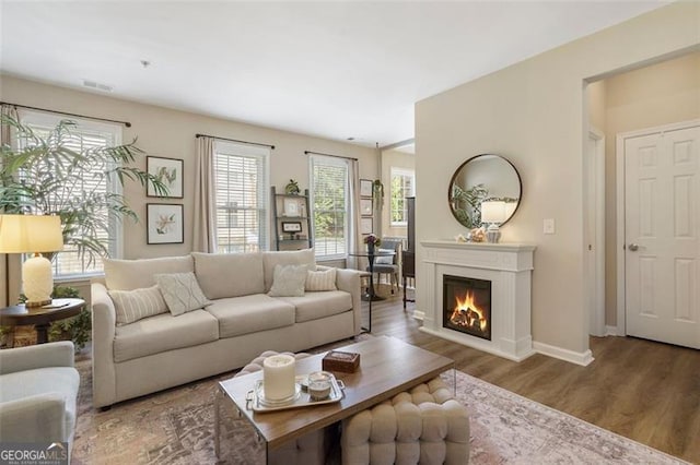 living room with hardwood / wood-style floors