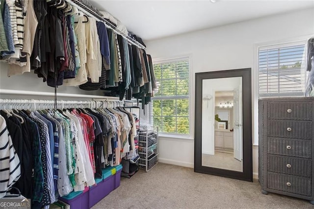 walk in closet with light colored carpet