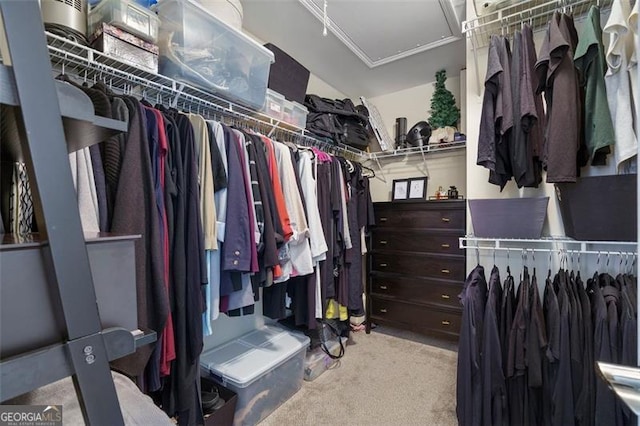 walk in closet featuring light colored carpet