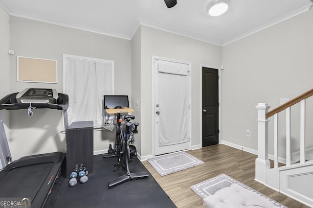 exercise area with dark wood-type flooring and ornamental molding