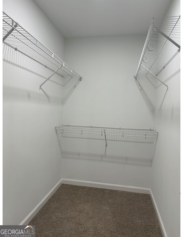 walk in closet with carpet floors