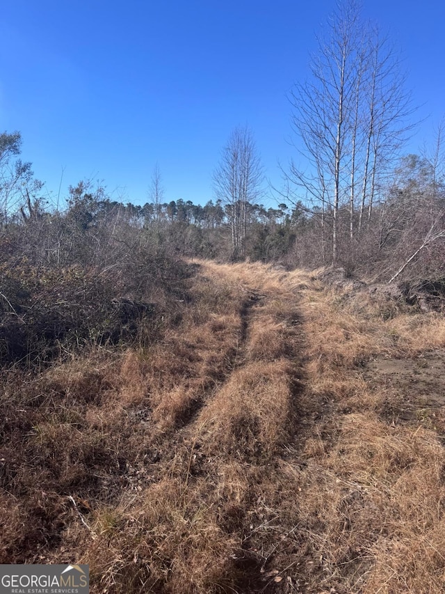 215 Spell Rd, Hazlehurst, GA 31539