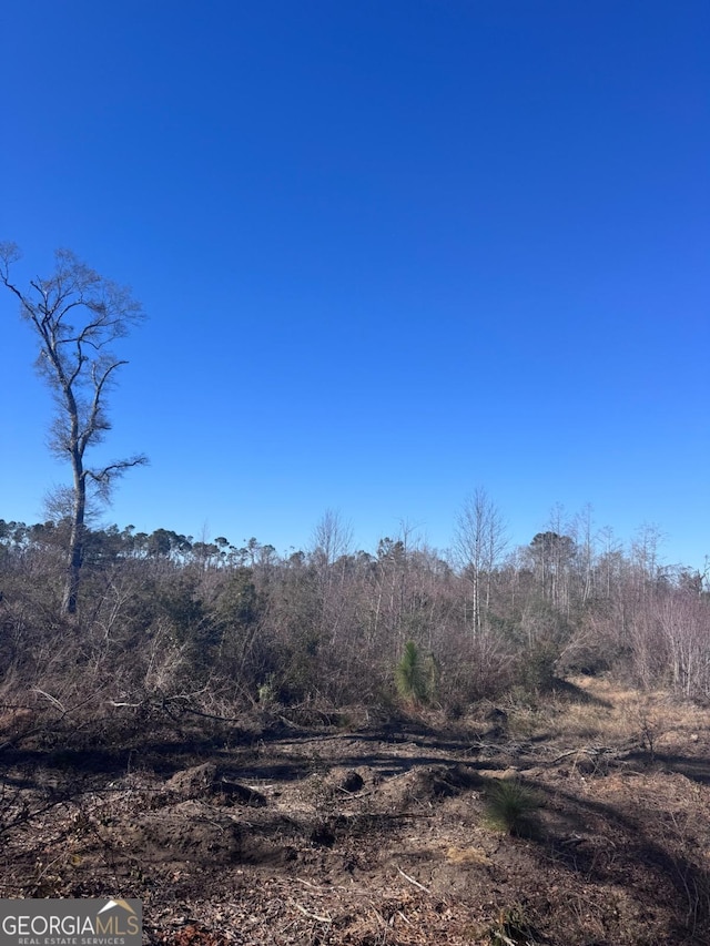 215 Spell Rd, Hazlehurst, GA 31539