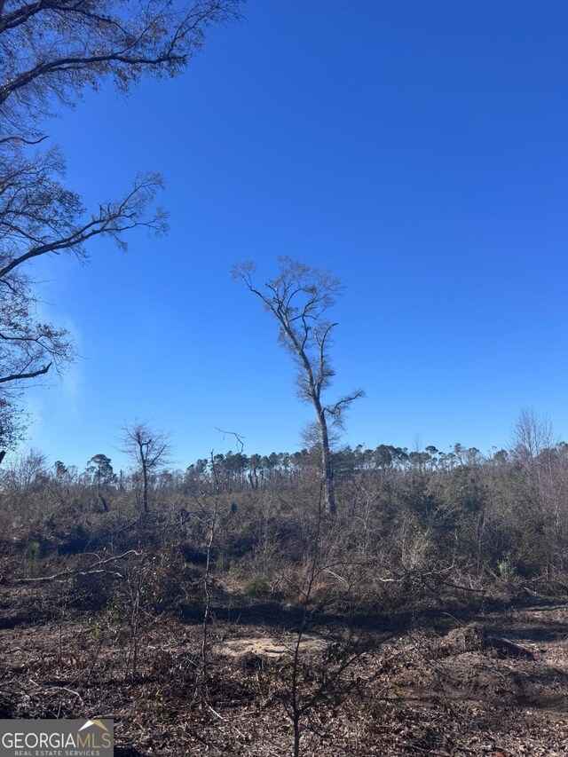 215 Spell Rd, Hazlehurst, GA 31539